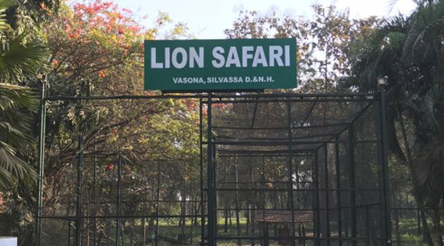 Lion Safari Wildlife Park, Daman And Diu